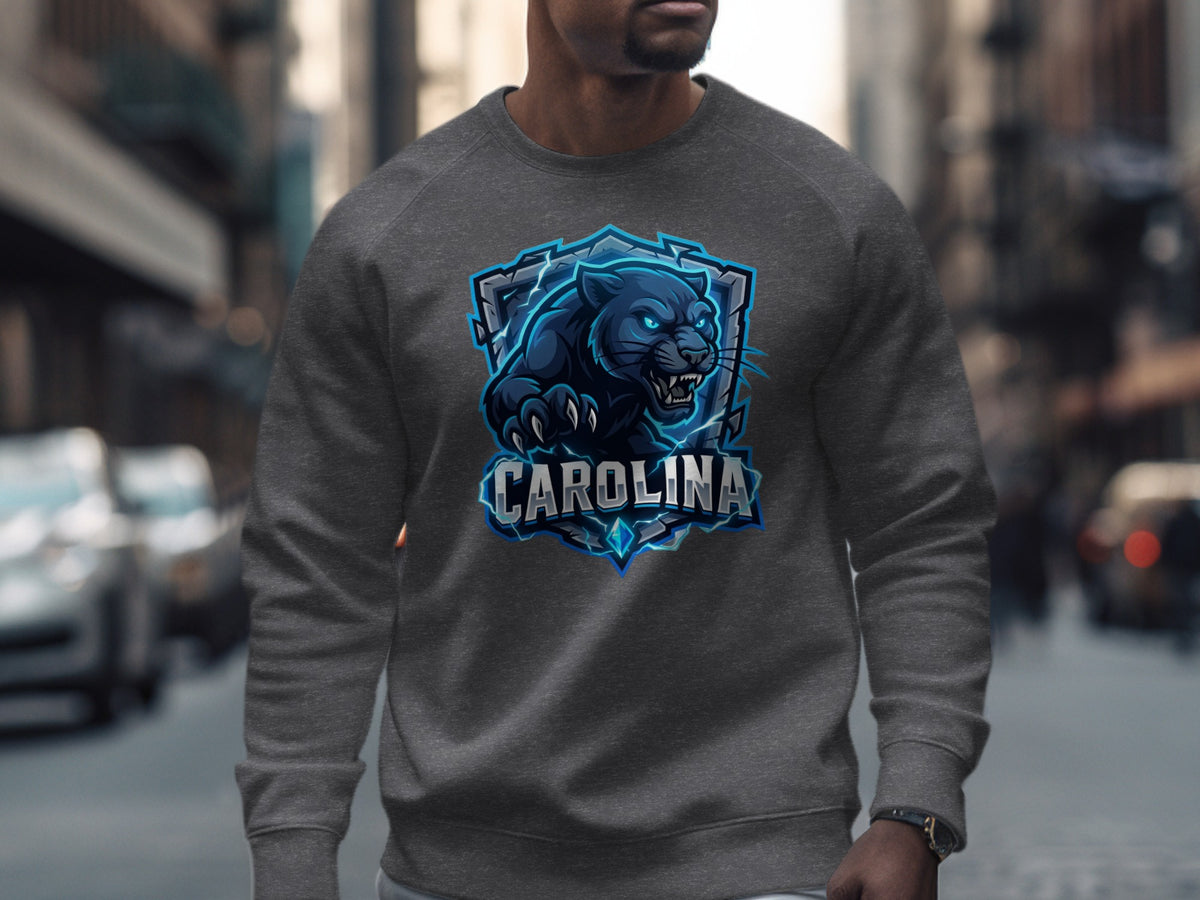 Dark grey sweatshirt with a blue panther logo and "CAROLINA" text.