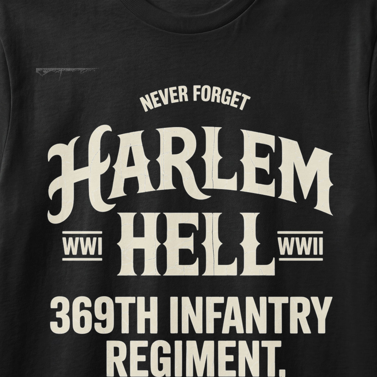 Never forget Harlem Hell 369th Infantry Regiment WWI WWII.
