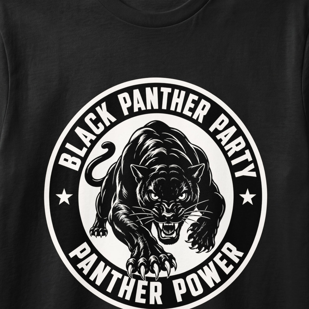 Black panther illustration with text "Black Panther Party Panther Power" around it.